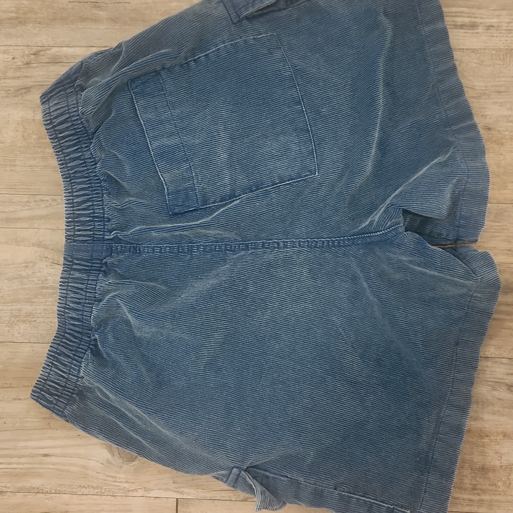 Urban Outfitters BDG Blue Corduroy Cargo Shorts - Men's - Picture 3 of 6